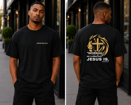 Saved-ish Soul "Normal" T-Shirt