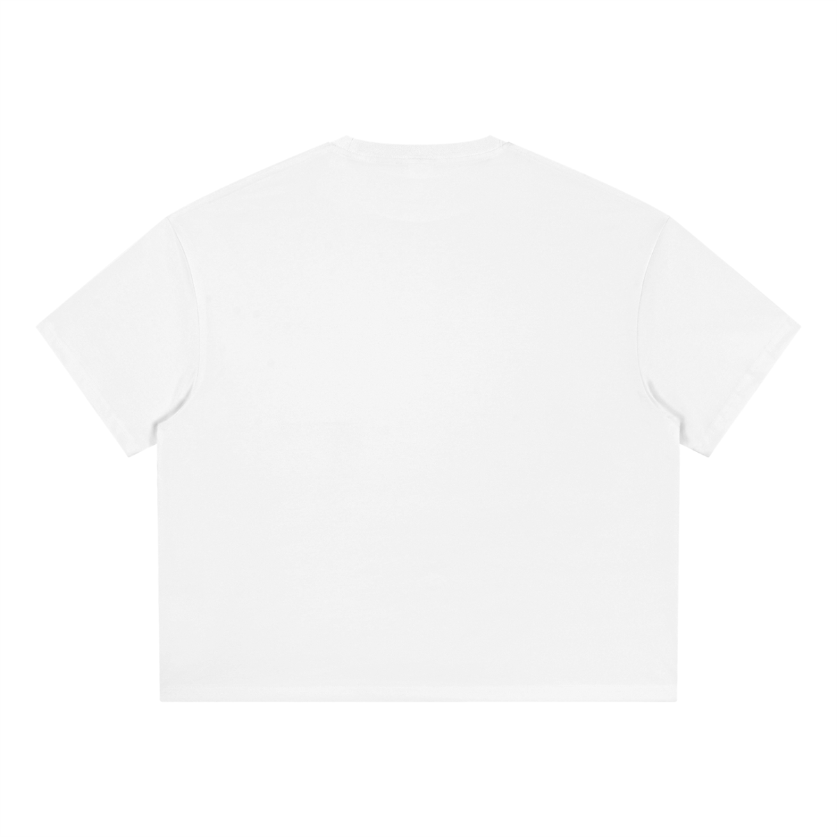 Saved-ish Soul "Foundations." Boxy T-Shirt