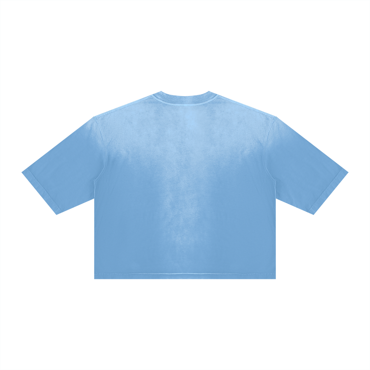 Saved-ish Soul "Growth Foundations" Boxy T-Shirt