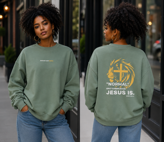 Saved-ish Soul "Normal" Sweatshirt
