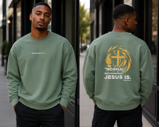 Saved-ish Soul "Normal" Sweatshirt