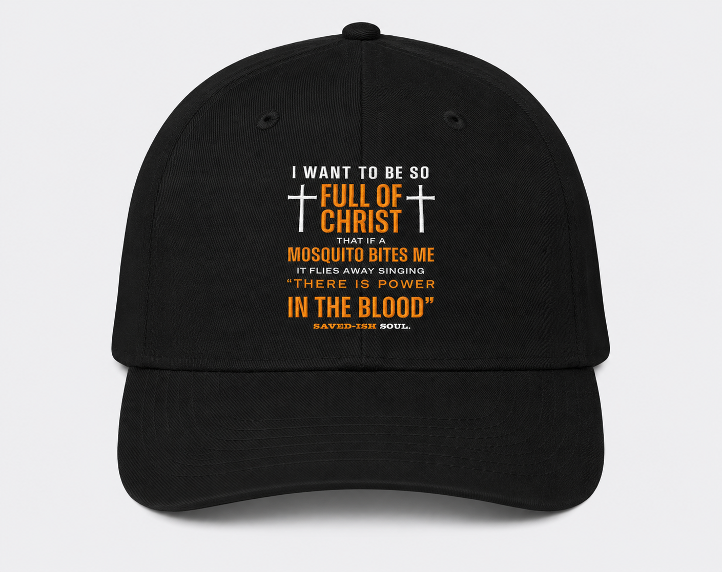 Saved-ish Soul "Full of Christ" Hat