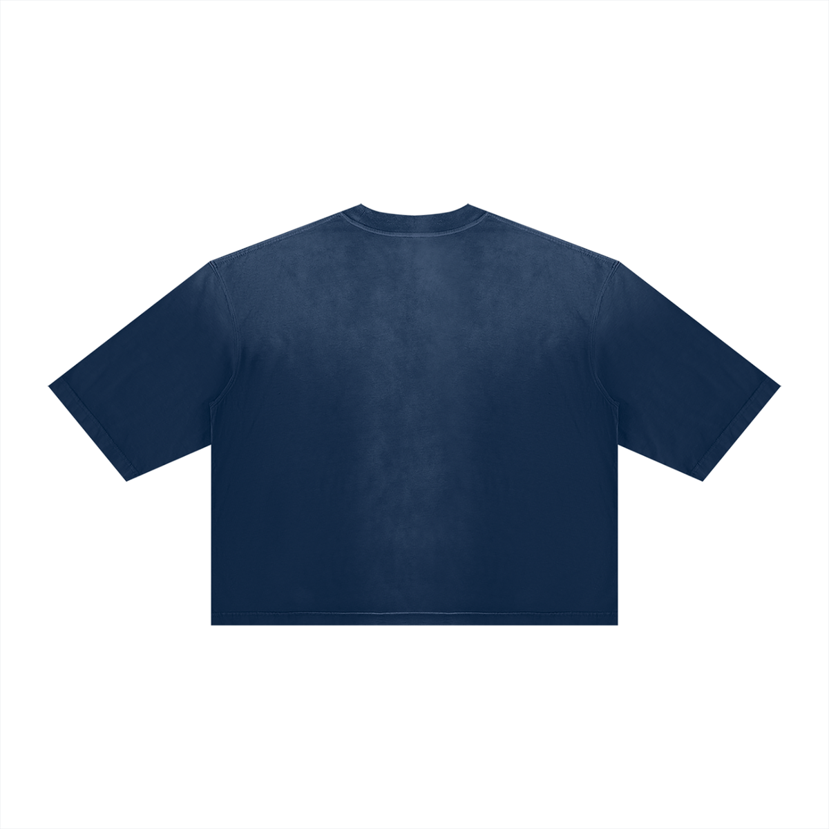 Saved-ish Soul "Growth Foundations" Boxy T-Shirt