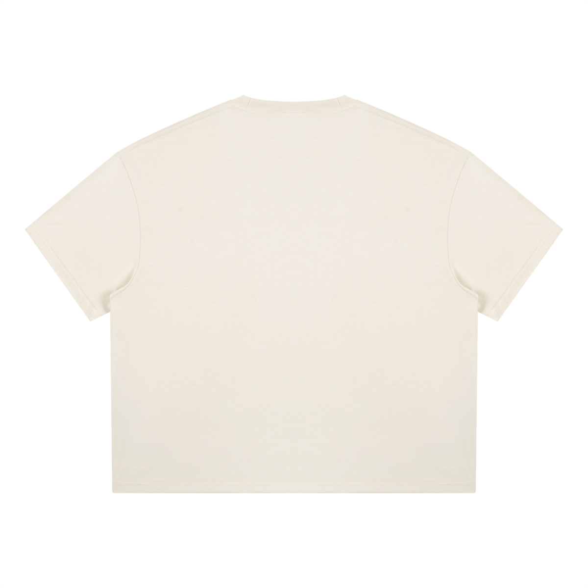 Saved-ish Soul "Foundations" Boxy T-Shirt
