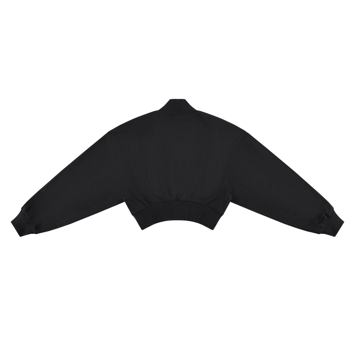 Saved-ish Soul "Foundations" Crop Mock Neck Sweatshirt