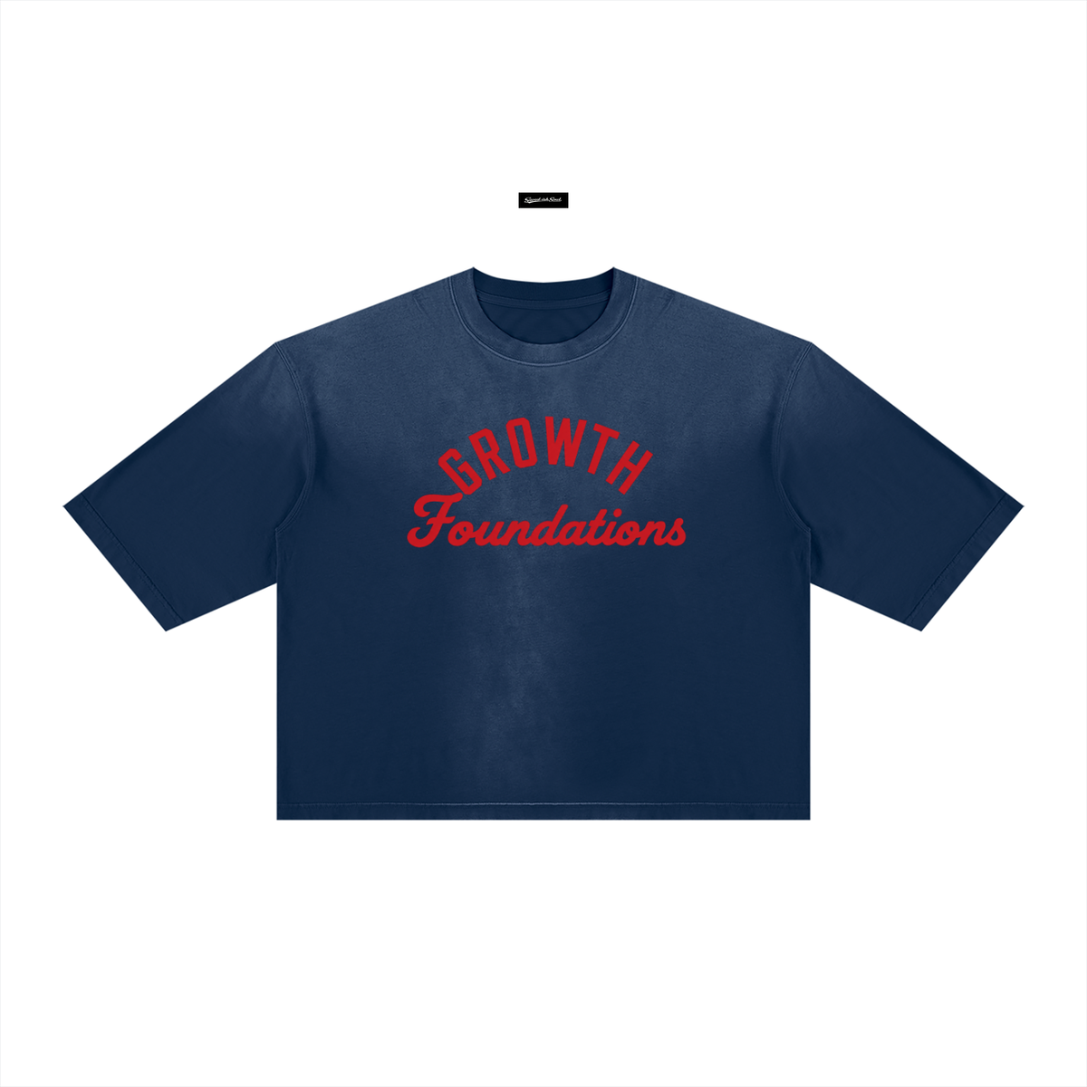 Saved-ish Soul "Growth Foundations" Boxy T-Shirt